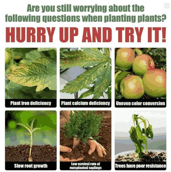 Resurrection Liquid for Plants & Flower