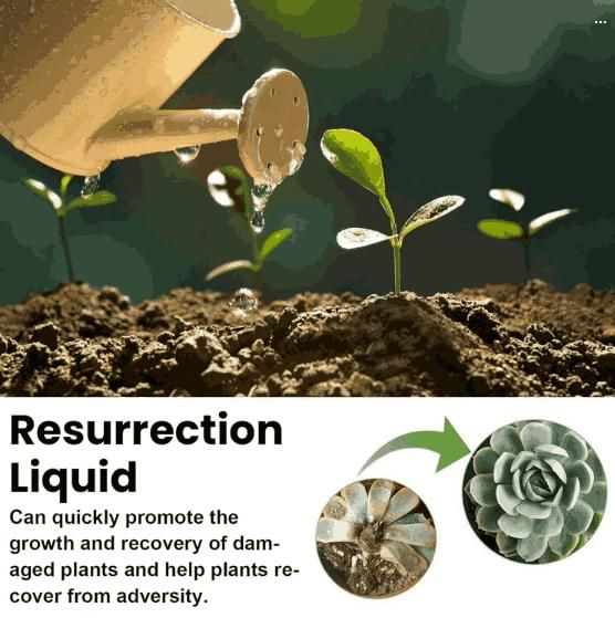 Resurrection Liquid for Plants & Flower